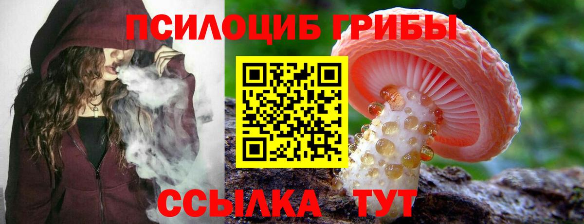 Галлюциногенные грибы Psilocybe Аша